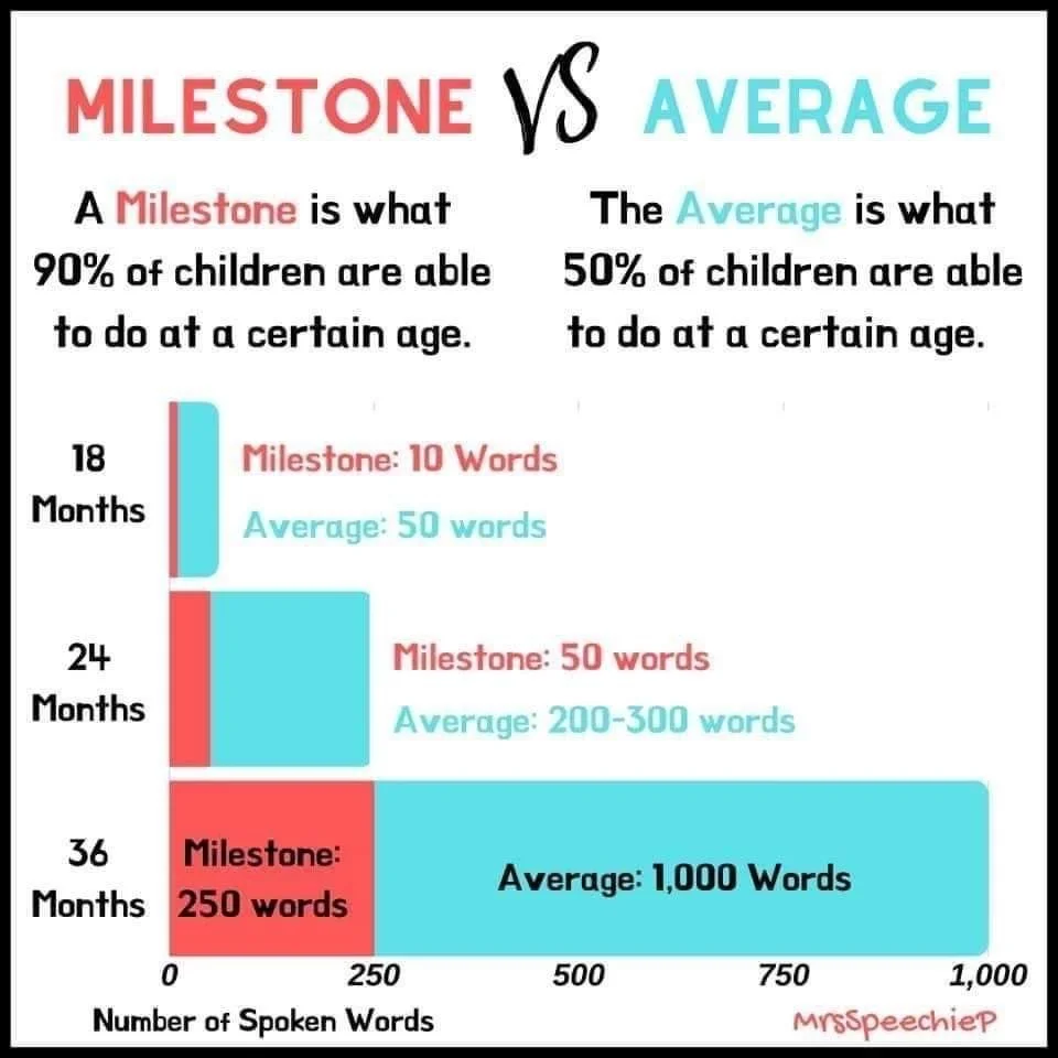 Vocabulary milestones for 18 months 24 months 36 months by Mrs Speechie P